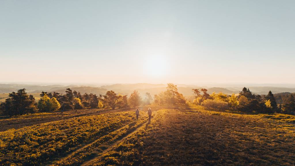 Wanderung im Sauerland bei Sonnenuntergang