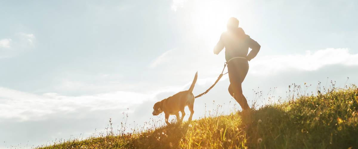 Hundezeit im Sauerland Stern Hotel - gemeinsame Auszeit für Zwei- & Vierbeiner Symbolfoto