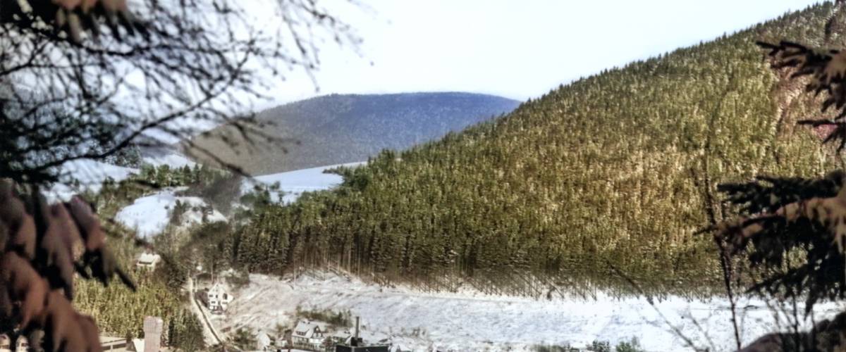 Bewegt und bewegend: Eine faszinierende Reise durch die Geschichte des Sauerland Stern Hotels Symbolfoto