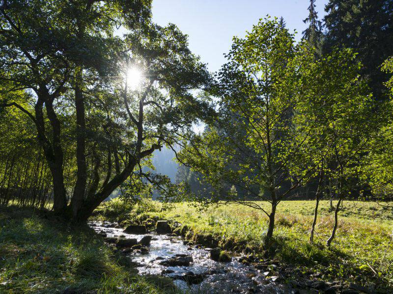 Sauerland Stern Hotel wieder als "Qualitätsgastgeber Wanderbares Deutschland" zertifiziert Symbolfoto