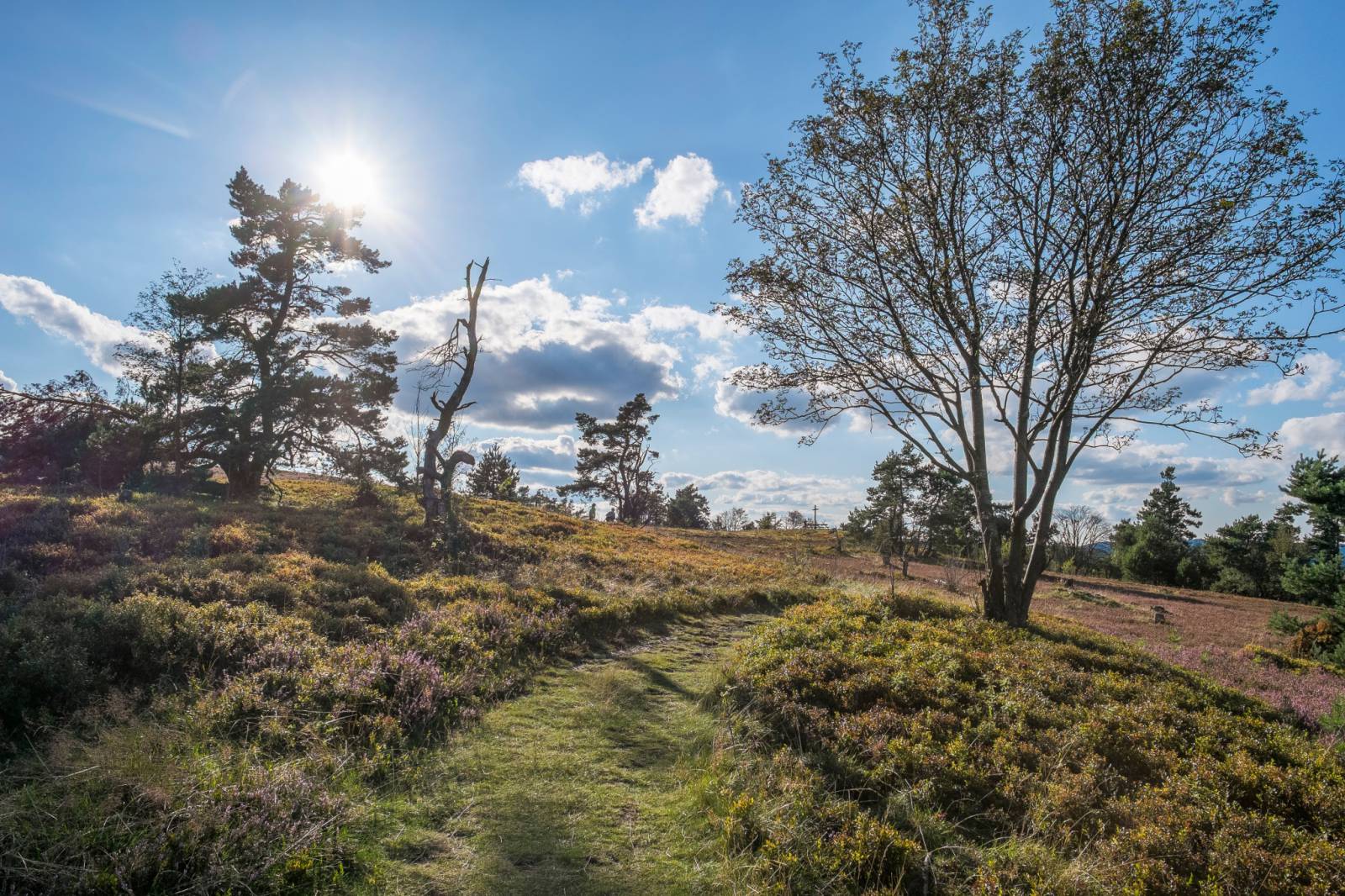 "Sauerland-Seelenorte" - Lebendige Stille Symbolfoto
