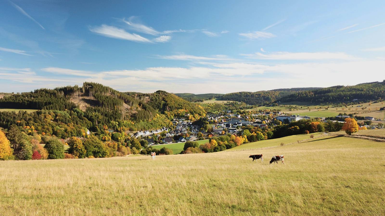 Eine kleine Herbst-Bucket-List: 6 Tipps für wunderbare Herbst-Erlebnisse & -Aktivitäten in der Region Symbolfoto