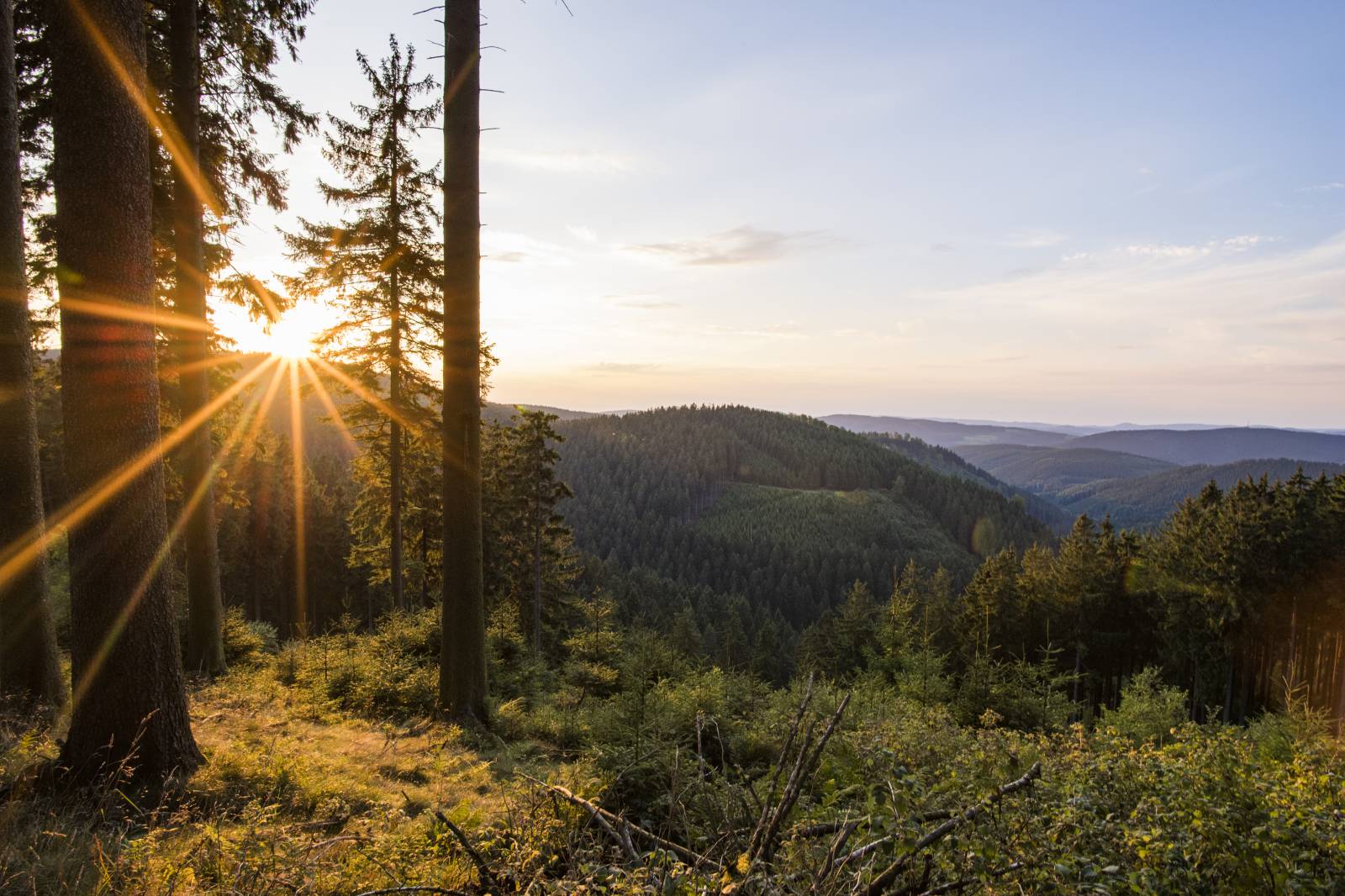 Sauerland Stern Hotel ist nun als "Qualitätsbetrieb Rothaarsteig" zertifiziert  Symbolfoto