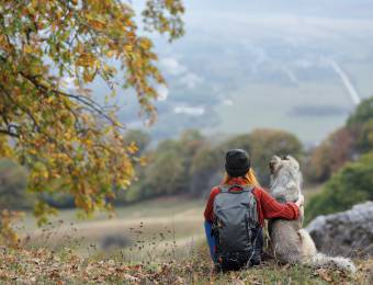 Gassirunden: Durch Wiesen, Wald & Willingen - Sauerland Stern Hotel Willingen