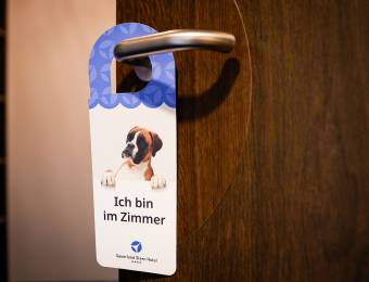 Auf vier Pfoten in Willingen unterwegs - Sauerland Stern Hotel Willingen