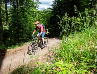 Willkommen im Bike-Paradies Willingen - Sauerland Stern Hotel Willingen