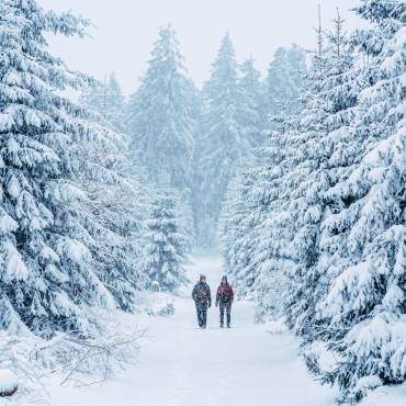 Wanderer im Winterurlaub zwischen verschneiten Tannen
