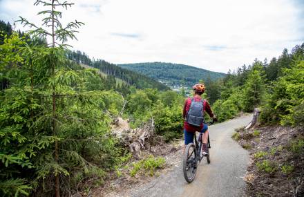Hochheide-Tour - Sauerland Stern Hotel Willingen