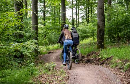 MTB Hochheide-Tour - Sauerland Stern Hotel Willingen