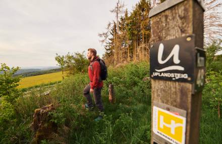 Aktiv-Angebote zum Wandern - Sauerland Stern Hotel Willingen