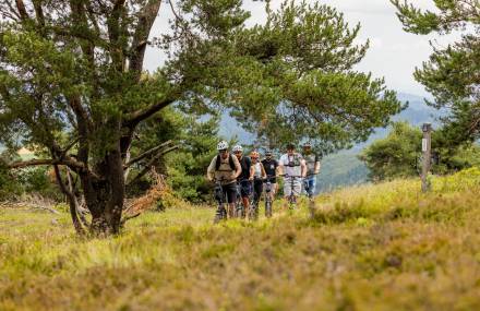 MTB Upland-Dörfer-Tour - Sauerland Stern Hotel Willingen
