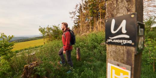 Wanderer an einem Wegweise auf dem Uplandsteig im Sauerland