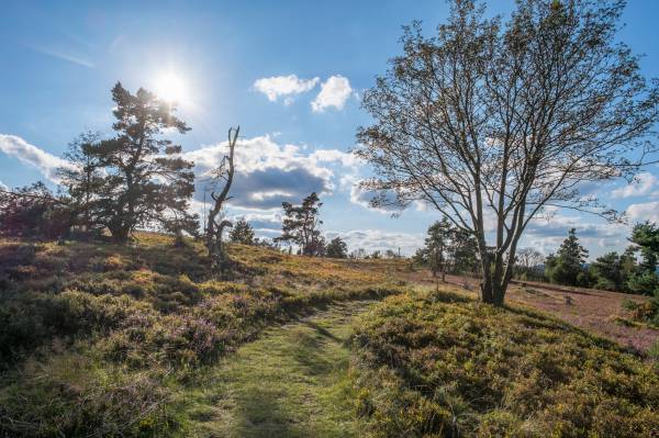 Vorteile im Sauerland Stern