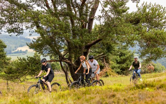 Mountainbiker auf Tour im Sauerland