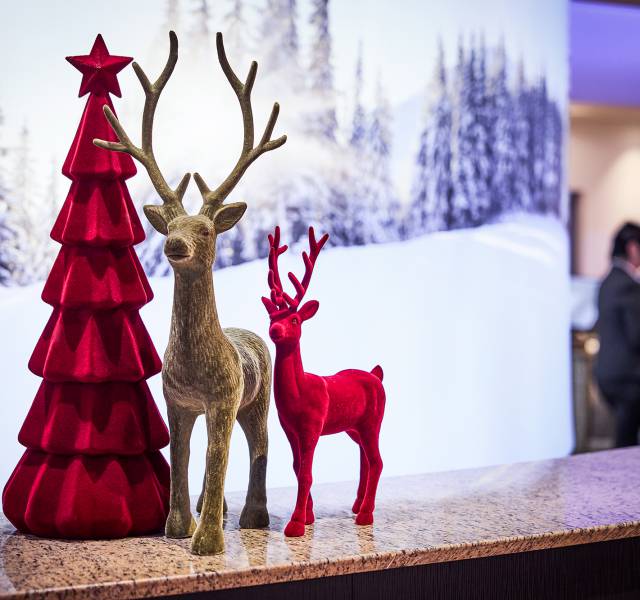 Weihnachten im Upland 24. - 26.12.2025