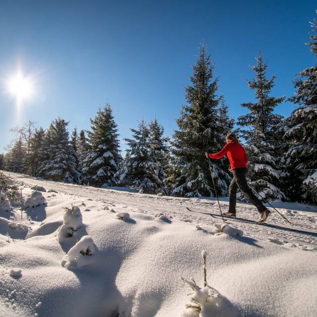 wintervakantie Willingen - Sauerland Stern Hotel Willingen