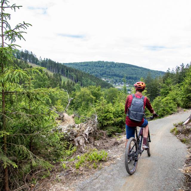 Green Trails Willingen - Sauerland Stern Hotel Willingen