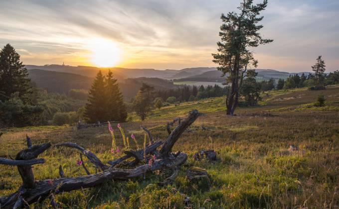 "Sauerland-Seelenorte" - Lebendige Stille Symbolfoto