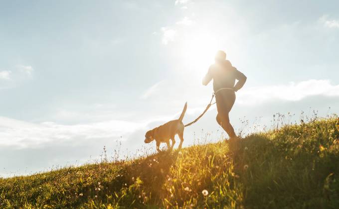 Hundezeit im Sauerland Stern Hotel - gemeinsame Auszeit für Zwei- & Vierbeiner Symbolfoto