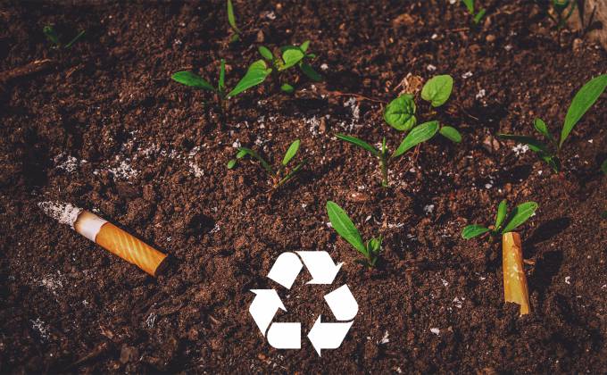 Zusammen mit TobaCycle wollen wir Zigarettenkippen aus der Natur verbannen! Symbolfoto