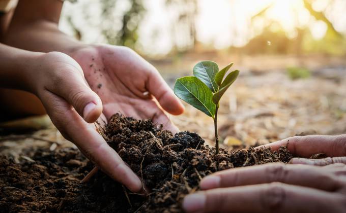 Lassen Sie uns gemeinsam Bäume pflanzen mit unserem neuen Partner Click A Tree Symbolfoto