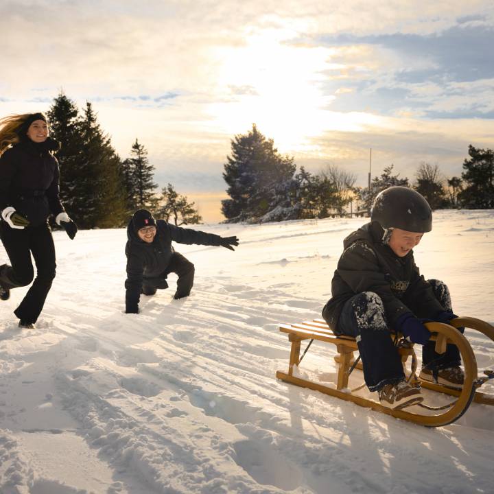 Rodeln im Sauerland: Schlittenspaß für Groß und Klein - Sauerland Stern Hotel Willingen