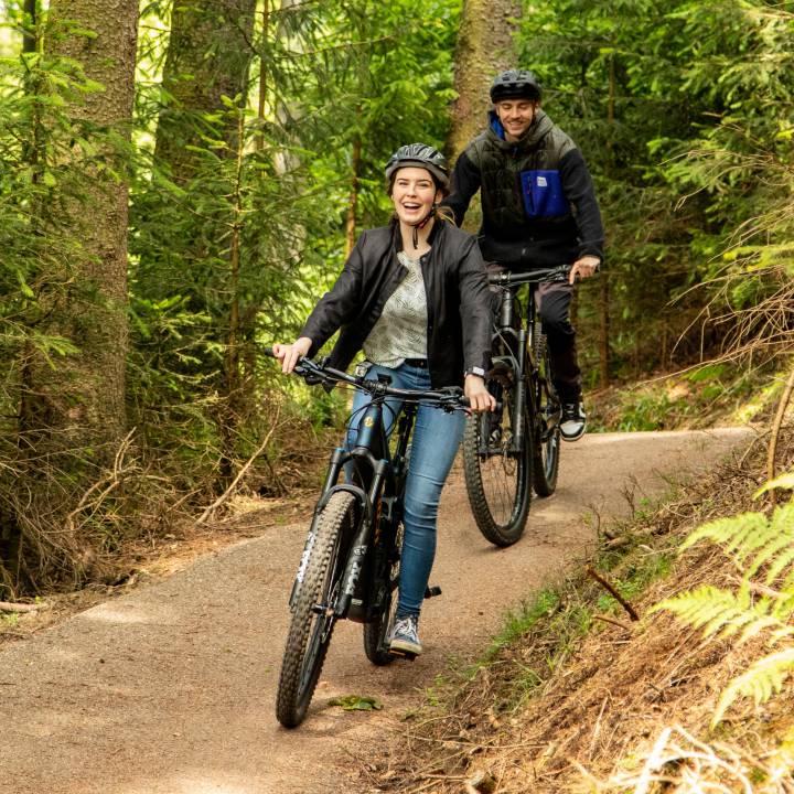 Geführte Mountainbike-Touren in Willingen: Mit ortskundigen Guides der Snow & Bike Factory - Sauerland Stern Hotel Willingen