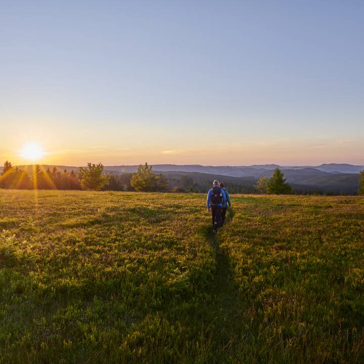 Rothaarsteig - Sauerland Stern Hotel Willingen