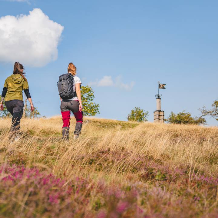 Wanderer auf der Hochheide bei Willingen im Sauerland