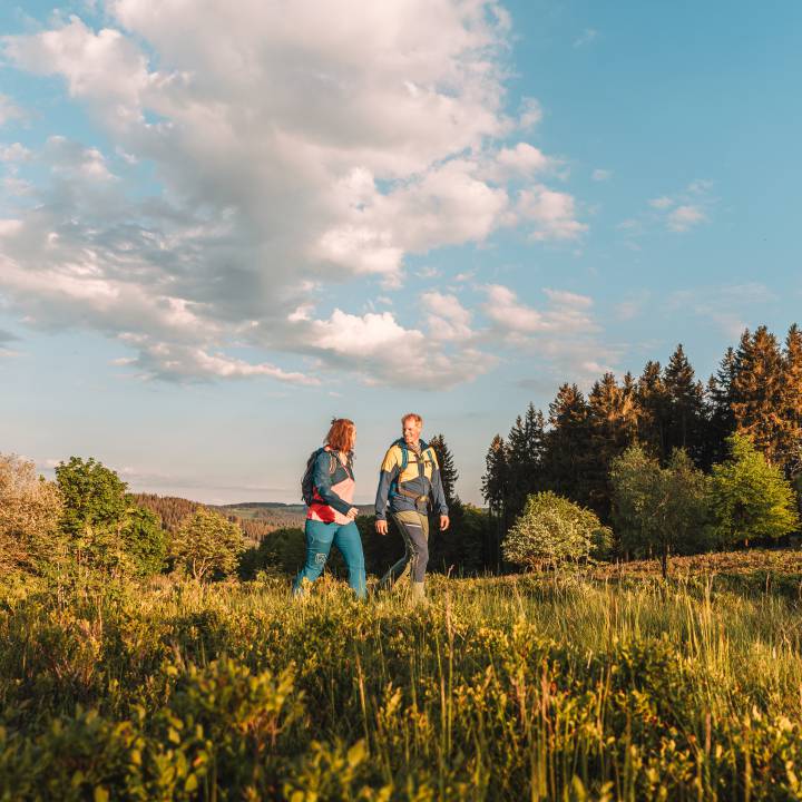 Wandern im Sauerland auf der Hochheide