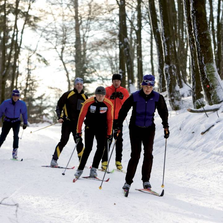 Langlaufen im Sauerland: In eurem Winterurlaub im Sauerland Stern Hotel - Sauerland Stern Hotel Willingen