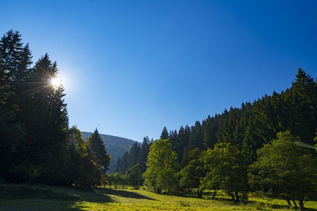 Urlaub mit Hund Sauerland Stern Hotel