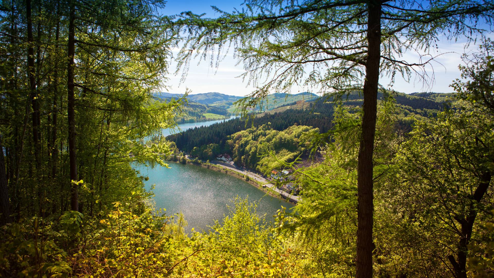 Sonniger Ausblick beim Wandern im Upland