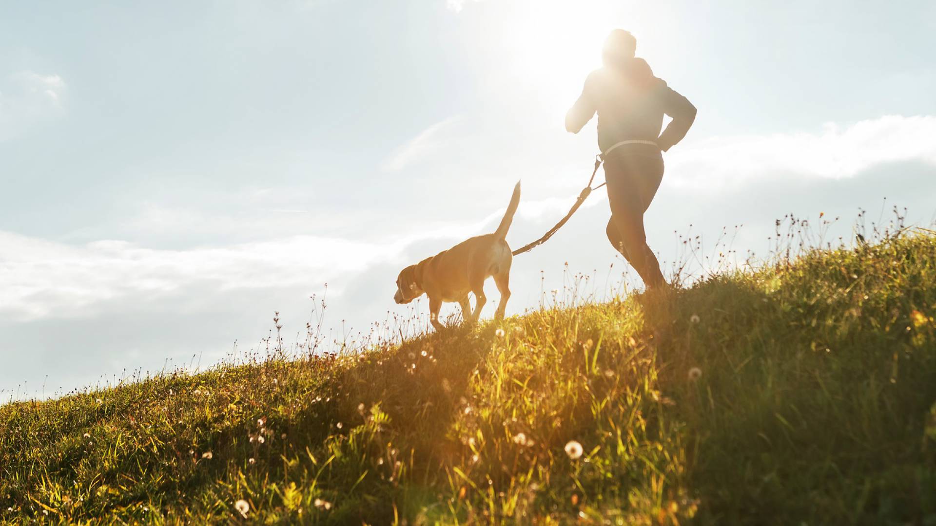 Erholung für Mensch und Hund: Sauerland Stern Hotel