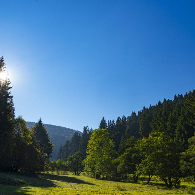 Uplandsteig - ein Landschaftstraum
