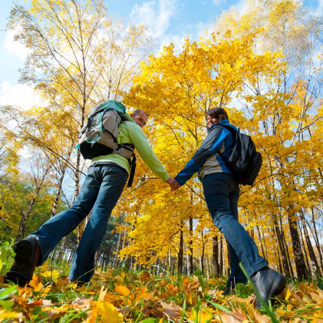 Paar beim Wandern im herbstlichen Wald 