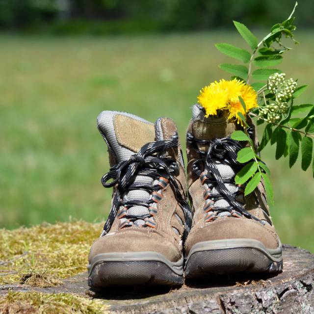 Wanderschuhe mit Löwenzahn