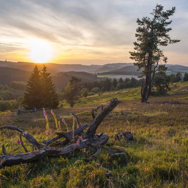 Sonnenuntergang im Sauerland