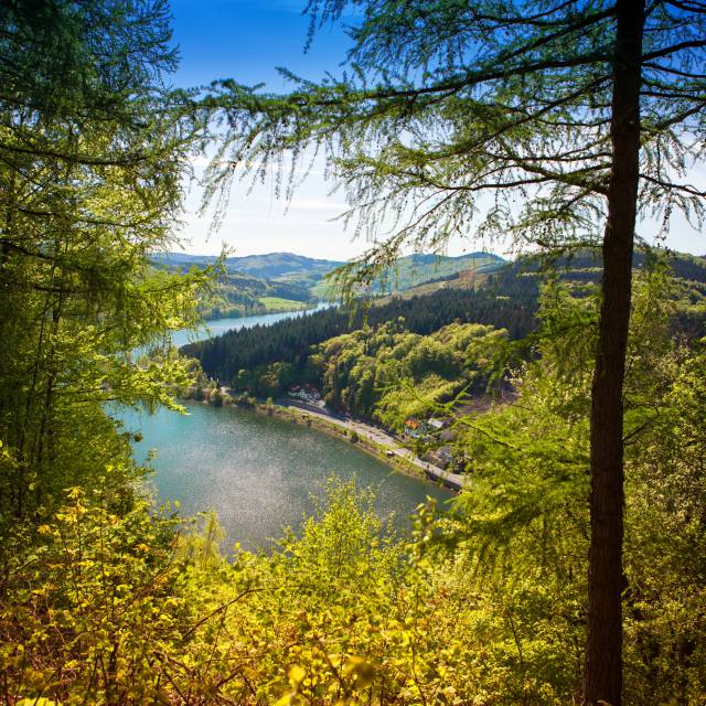 Sonniger Ausblick beim Wandern im Upland