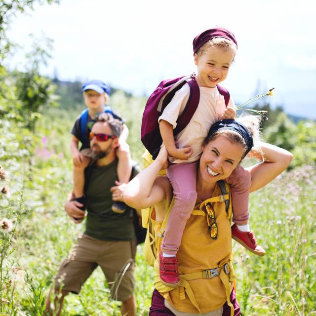 Familie beim Wandern auf einer Wiese im Sommer