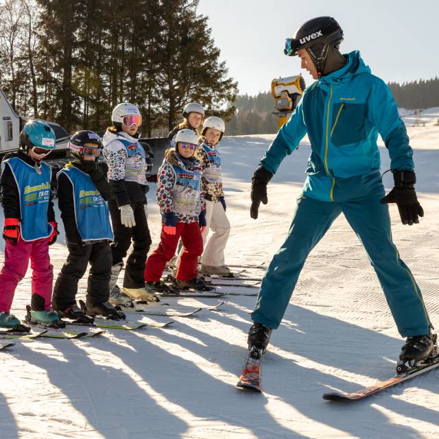 SKISCHOLEN IN WILLINGEN