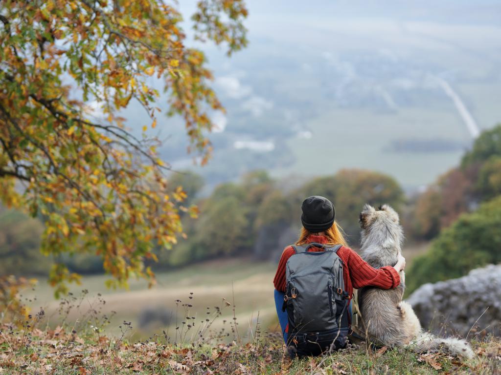 Urlaub mit Hund im Sauerland - Urlaub mit Kindern auf dem Bauernhof Köhne