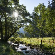 Sauerland Stern Hotel wieder als "Qualitätsgastgeber Wanderbares Deutschland" zertifiziert, Bild 3/3