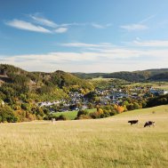 Eine kleine Herbst-Bucket-List: 6 Tipps für wunderbare Herbst-Erlebnisse & -Aktivitäten in der Region, Bild 3/5