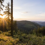 Sauerland Stern Hotel ist nun als "Qualitätsbetrieb Rothaarsteig" zertifiziert , Bild 3/3