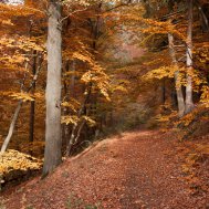 Eine kleine Herbst-Bucket-List: 6 Tipps für wunderbare Herbst-Erlebnisse & -Aktivitäten in der Region, Bild 5/5