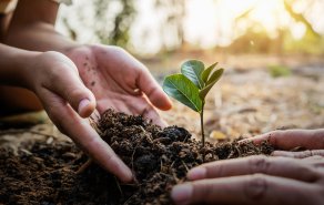 Lassen Sie uns gemeinsam Bäume pflanzen mit unserem neuen Partner Click A Tree, Bild 1/8