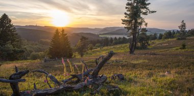 "Sauerland-Seelenorte" - Lebendige Stille, Bild 1/3