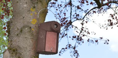 Aktiver Vogel- und Insektenschutz am Sauerland Stern Hotel, Bild 1/3