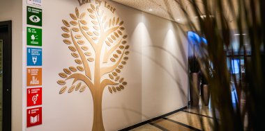 Nachhaltigkeit bei uns – viele kleine Schritte, die wirklich etwas bewegen, Bild 2/6